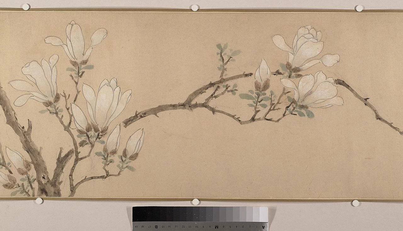 Fiori - Metropolitan Museum of Art, New York